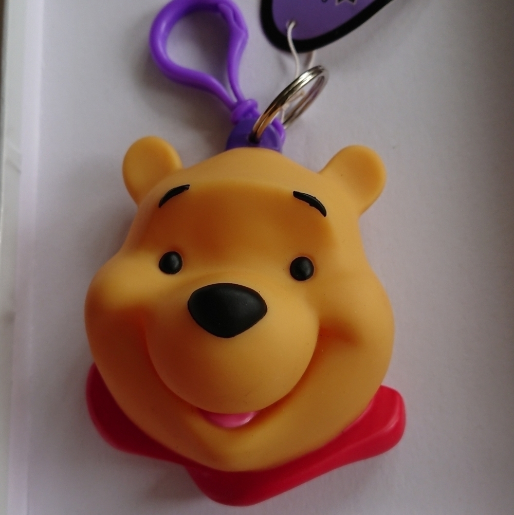 Winnie the Pooh, Disney - Pooh Treasure Keeper keychain